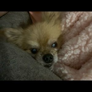 Meet your Posher, Meredith